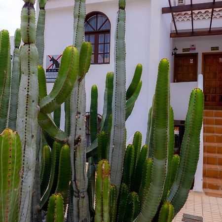 Las Bouganvillas 1 Bed Apartment In Costa Adeje المظهر الخارجي الصورة