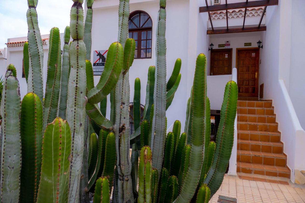Las Bouganvillas 1 Bed Apartment In Costa Adeje المظهر الخارجي الصورة